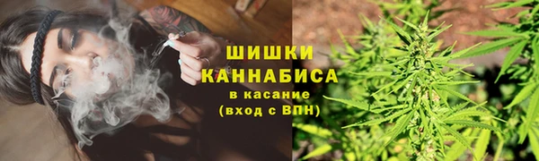 стаф Приозерск