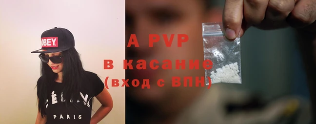 стаф Приозерск