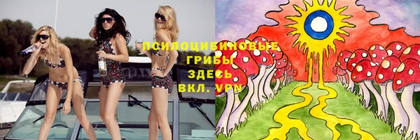 прущая мука Пролетарск