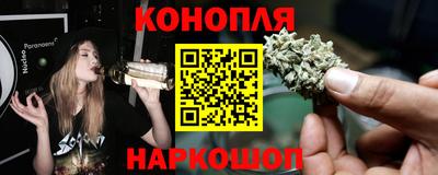 гидропоника Бийск