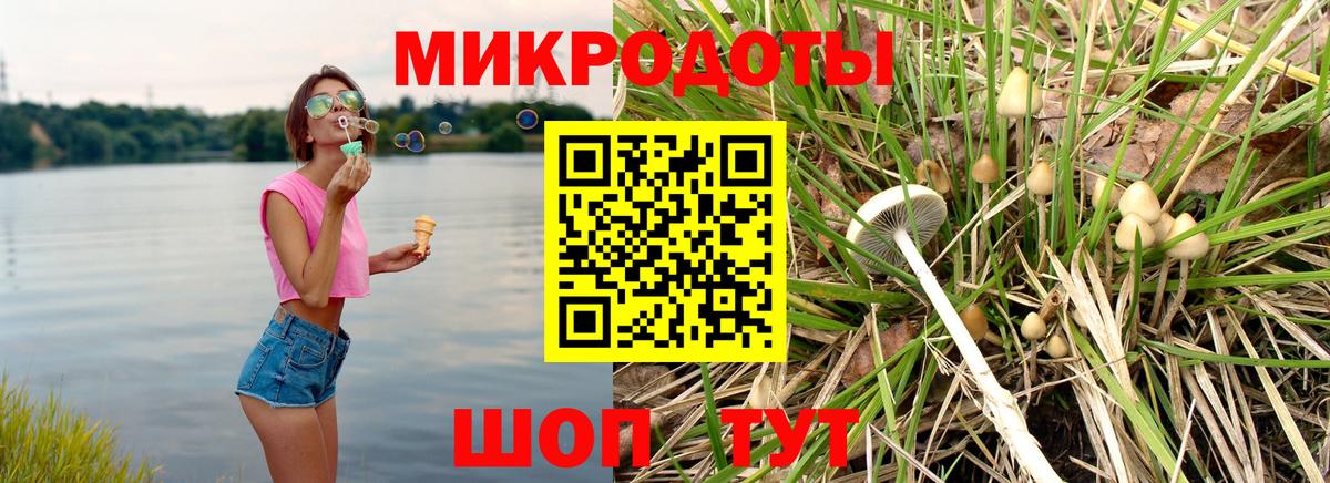 где найти   Семилуки  Псилоцибиновые грибы Psilocybe  Галлюциногенные грибы ЛСД 
