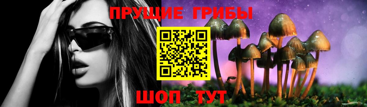 Псилоцибиновые грибы Cubensis  Псилоцибиновые грибы мухоморы  Вход с VPN  Семилуки 